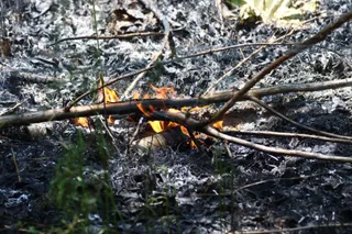 Incendio en Valverdón | MATEO J