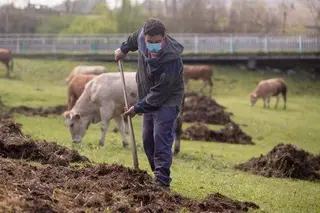 Sector agroalimentario. FOTO EP
