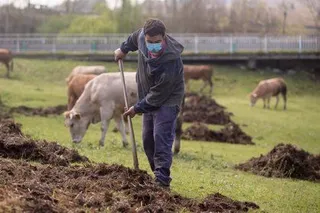 Sector agroalimentario. FOTO EP