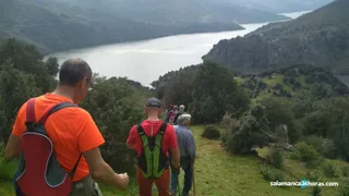 Marcha vilvestre (3)