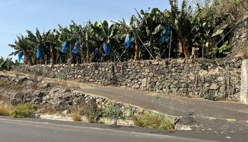 Volcán de La Palma (15)