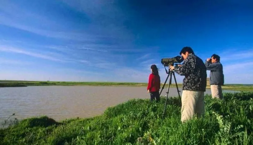 Observación de aves. Diputación de Salamanca