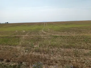 Cosecha de malas hierbas