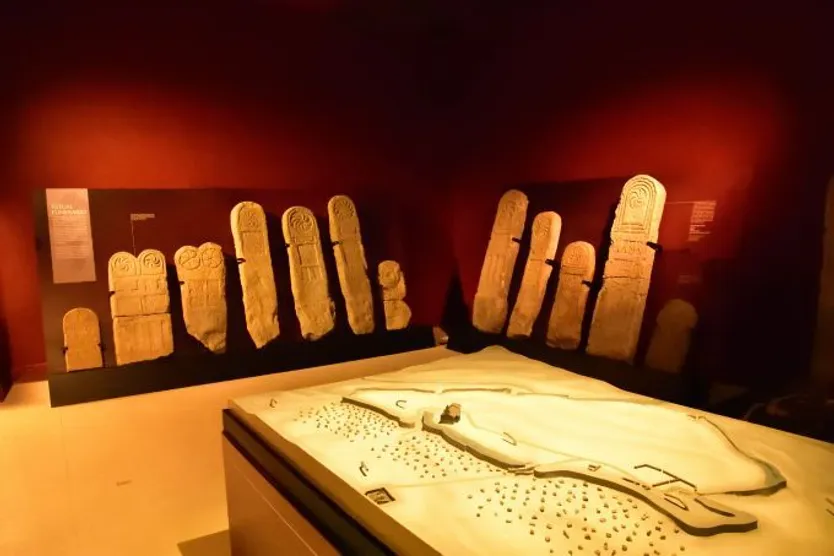 Museo del Castro de Yecla