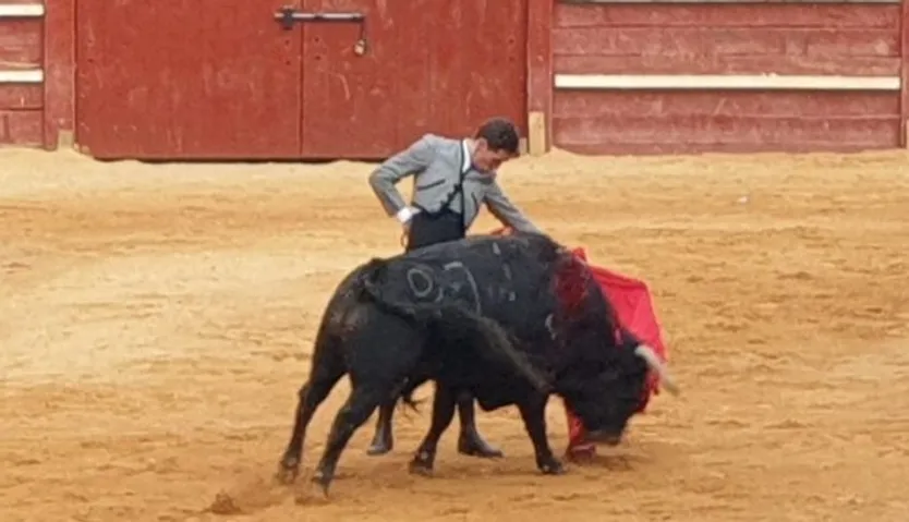 Ginés Marín