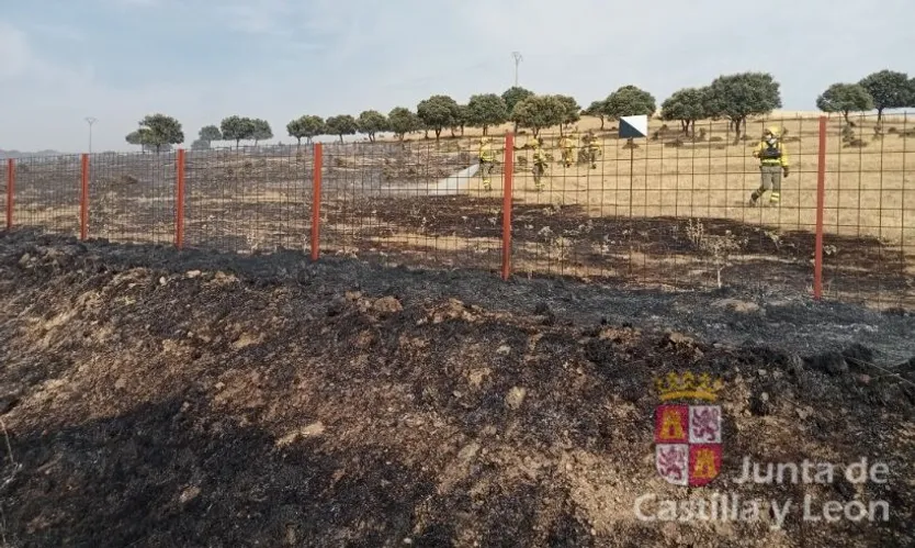 Incendio que afecta a una parcela próxima a Villalba de los Llanos