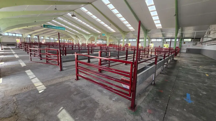 Naves De Ganado Recinto Ferial De La Diputación De Salamanca (1)