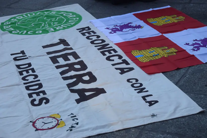 Manifestación Fridays for Future 