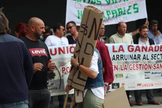 Protestas de los ganaderos frente a la Delegación Territorial de la Junta de Castilla en León en Salamanca