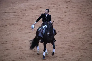 Gesta histórica: el rejoneador Víctor Herrero rememora tiempos pasados en el Carnaval del Toro de Ciudad Rodrigo. Fotos Salamanca24horas