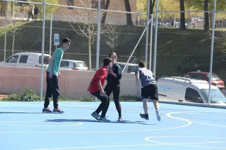 Día de la actividad física