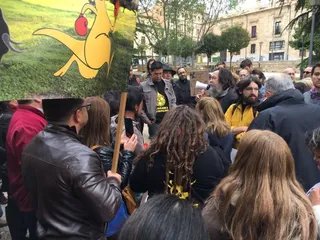 Berkeley espera “con sumo respeto” la decisión de la jueza y reitera que cuenta con todos los permisos para poder talar