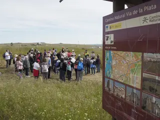 Peregrinación 2025