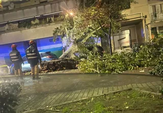 GALERÍA | La borrasca 'Ciarán' causa grandes destrozos en Salamanca
