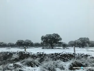 IMG 20180409 WA0036