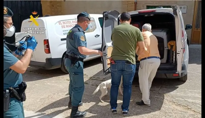 operacion contra una pseudo protectora 11 1100x632