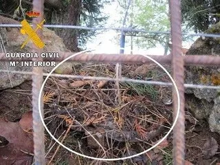 1516620825176cepo decomisadodn