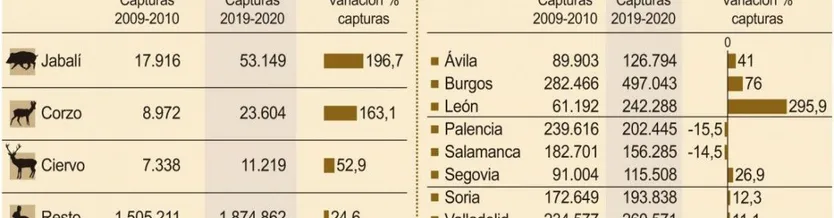 Capturas de animales salvajes