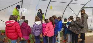Doñinos celebra el 'Día del Árbol' 1