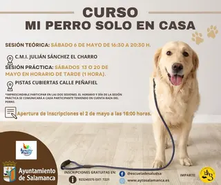 TALLER MI PERRO SOLO EN CASA