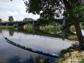 Vertido en el Tormes 8 septiembre (2)