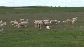 El Programa de Desarrollo Rural de Castilla y León contará con más de 126 millones este año. Foto de archivo