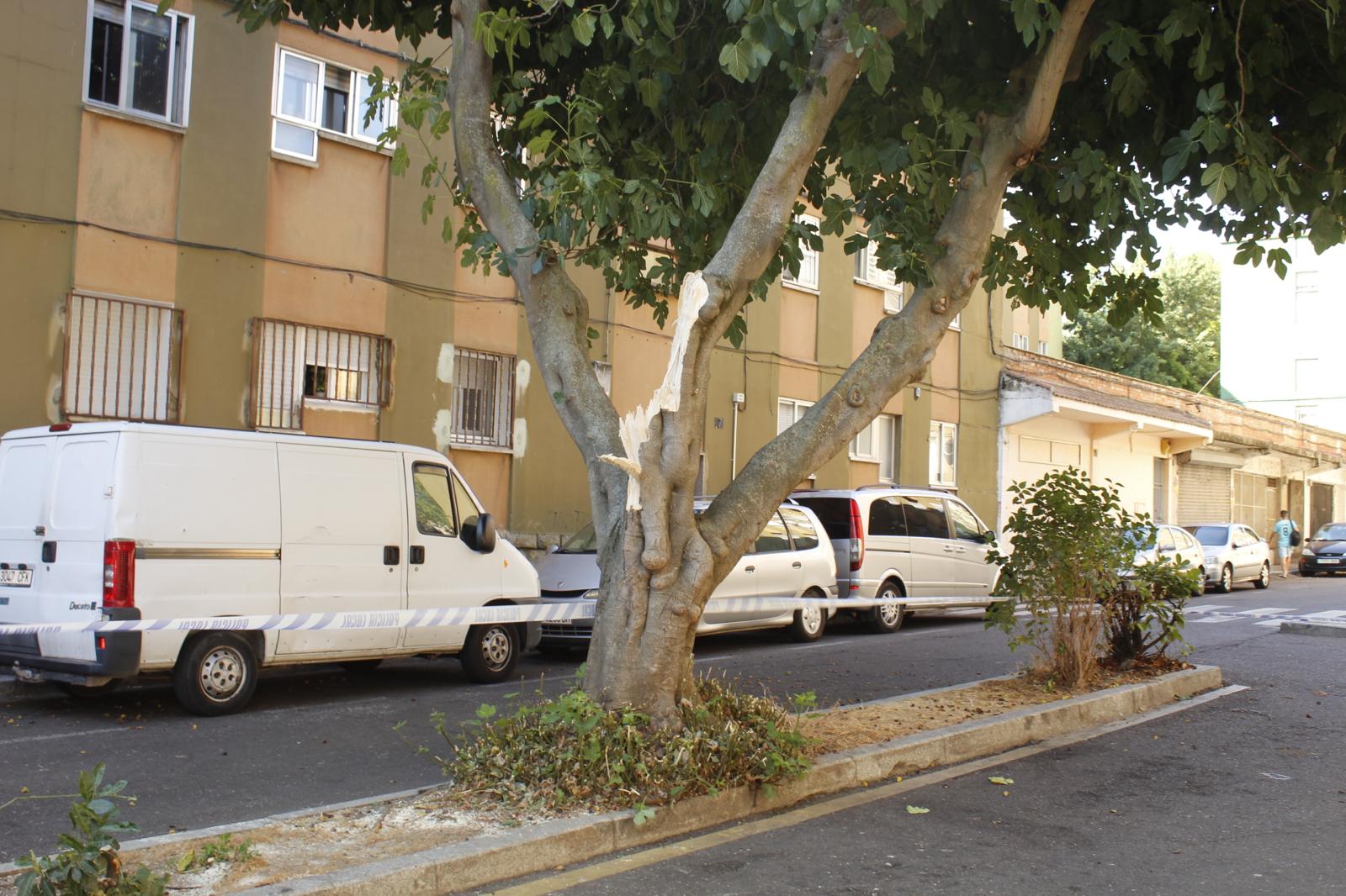 Lugar En El Que Un &Aacute;rbol Ha Ca&iacute;do Sobre Un Coche En San Jos&eacute; 2