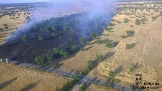 Calcinadas diecisiete hectáreas de pasto en San Muñoz