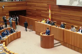 Pleno cortes