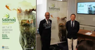 Salamaq 2016, a rebosar