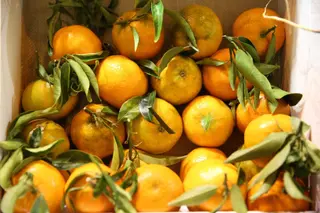 Frutas, fruta, naranja, naranjas