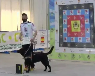 Dani Martín Anaya, primera clasificado del Campeonato de España de sala de tiro con arco adaptado