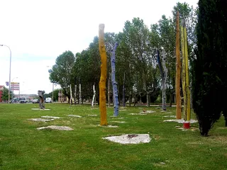 Bosques de Olmos de Ibarrola