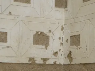 Palacio Arias Corvelle. Ciudadanos por la Defensa del Patrimonio