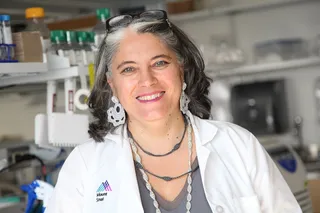 Ana Fernández-Sesma
