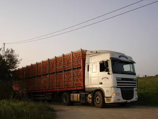 Transporte animales