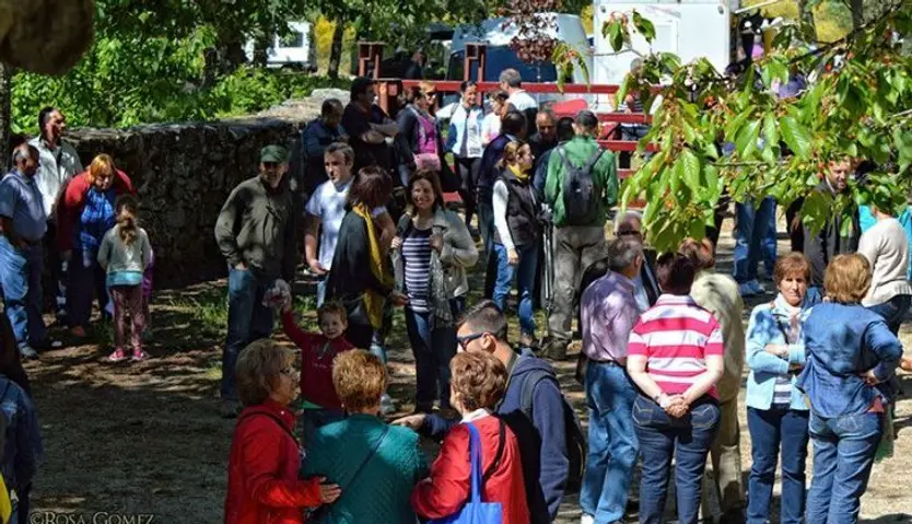  Romería de Majadas Viejas 