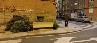 Caída de un árbol en la calle Acacias por las fuertes rachas de viento