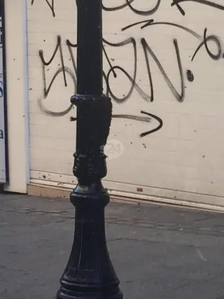Enjambre de abejas en la calle Toro
