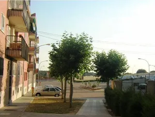 El encinar