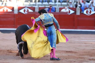 Diego San Román
