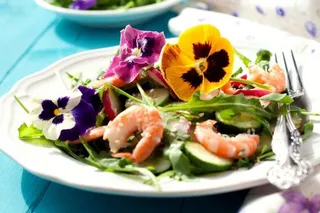 Alimentos tendencia