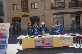 Asociación Espondilitis (4)