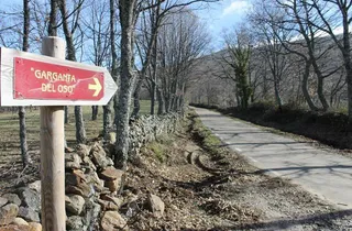 Izquierda Unida se queja de la falta de mantenimiento en los accesos a Candelario