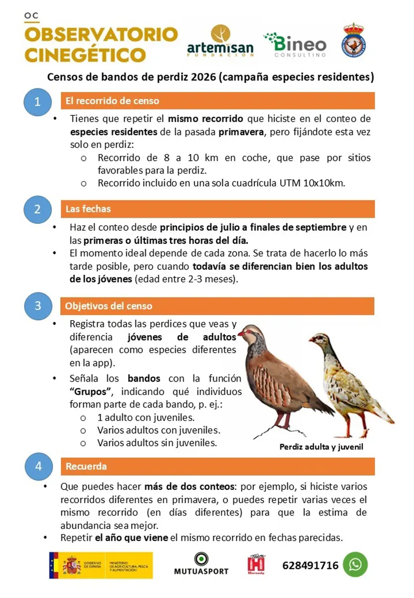 Los Cazadores Inician Una Nueva Campaña De Censos De Bandos De Perdiz Para Evaluar El Éxito Reproductor De La Especie. Ep