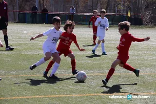 Fútbol base benjamín 9 10 marzo (67) (Copy)
