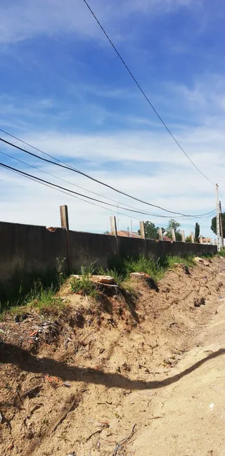 ESPINO DE LA ORBADA SIN COBERTURA (14)