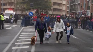 San Silvestre Salmantina 2016: benjamín