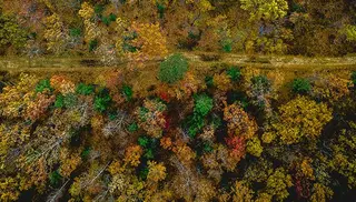 La Universidad de Salamanca lidera una plataforma geoespacial para la recuperación de los bosques europeos tras los grandes incendios forestales