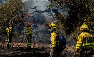 El fuego quema una zona de pasto en los entornos de la N-620 y la A-62 en Valdecarpinteros | Vicente | ICAL